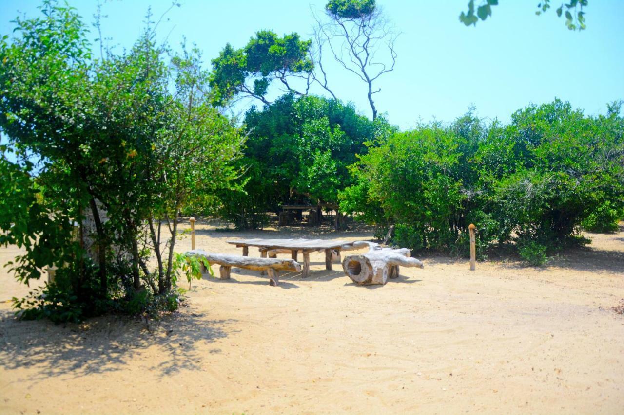 Panama Jungle Surf Camp B&B 외부 사진