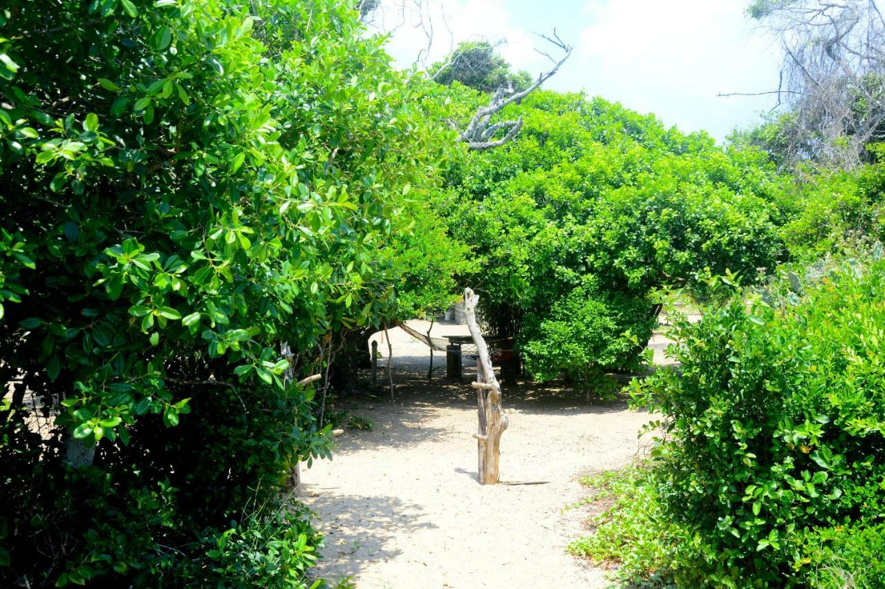 Panama Jungle Surf Camp B&B 외부 사진